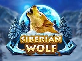 Siberian wolf screenshot